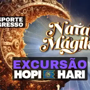 Excursão para o Hopi Hari-Natal Mágico-2025